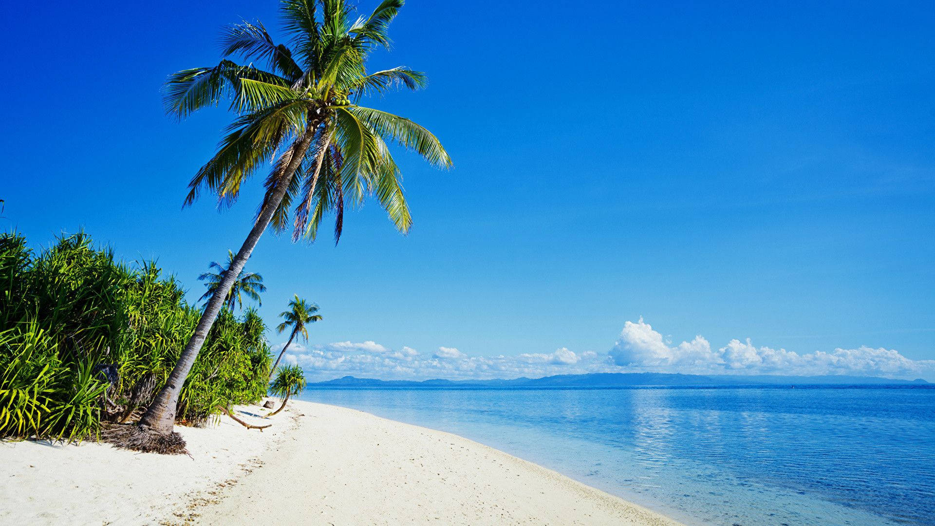 DENİZE SIFIR OTELLER