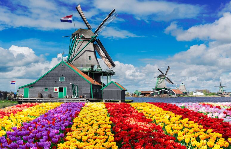 Elit Hollanda Amsterdam Turu THY ile 3 Gece Ekstra Turlar Dahil Ramazan Bayramı Dönemi