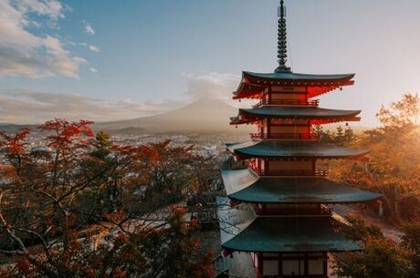 Japonya Kore Turu - Asiana Havayolları İle  11 Gece 12 Gün EJ001