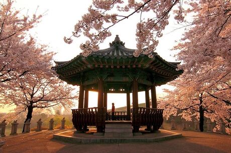 Japonya Kore Turu - Asiana Havayolları İle  11 Gece 12 Gün EJ001