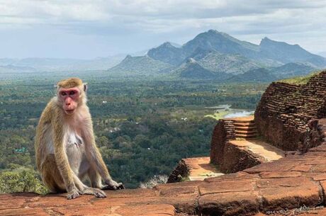 Sri Lanka Turu Türk Havayolları İle 8 Gün EJ001