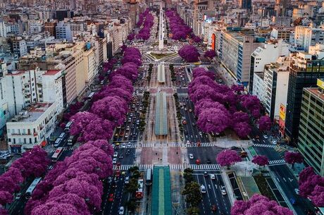 Grande Güney Amerika Turu Türk Havayolları İle 14 Gece EJ001