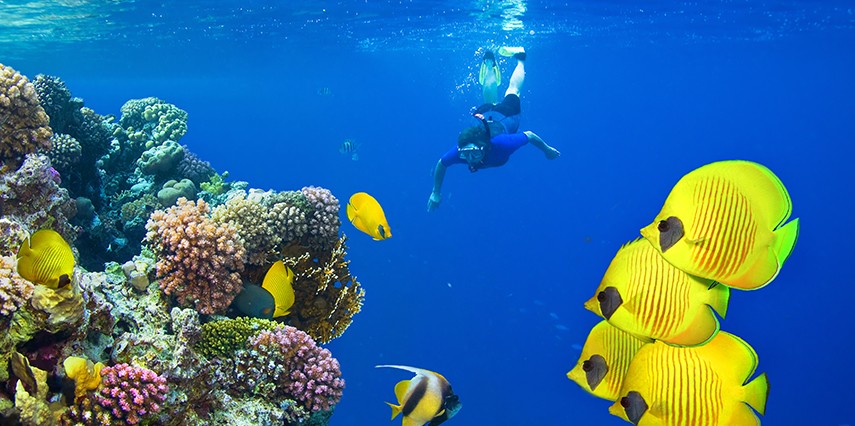 Sharm El Sheikh Turu Ajet Havayolları ile 5 Gece Her Şey Dahil 3 Yıldızlı Oteller