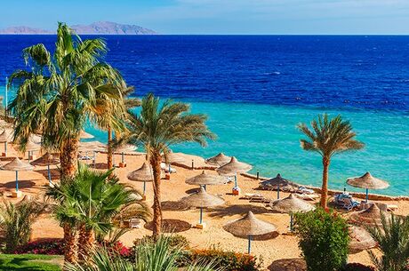 Sharm El Sheikh Turu Ajet Havayolları ile 5 Gece Her Şey Dahil 3 Yıldızlı Oteller