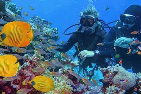 Sharm El Sheikh Turu Ajet Havayolları ile 5 Gece Her Şey Dahil 3 Yıldızlı Oteller