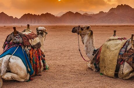 Sharm El Sheikh Turu Ajet Havayolları ile 5 Gece Her Şey Dahil 3 Yıldızlı Oteller