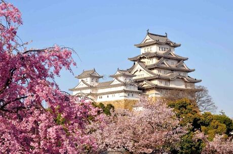 Japonya Kore Turu - Asiana Havayolları İle  11 Gece 12 Gün EJ001