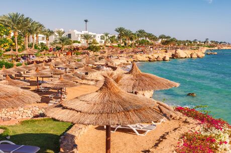 Baştanbaşa Mısır Turları Hurgada Kahire Sharm Ajet ile 7 Gece 8 Gün