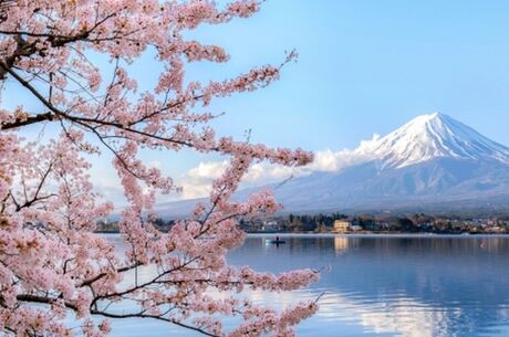 Japonya Kore Turu THY NRT İle 11 Gece 12 Gün - 2025