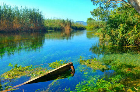 Datça Badem Çiçeği Festivali Turu
