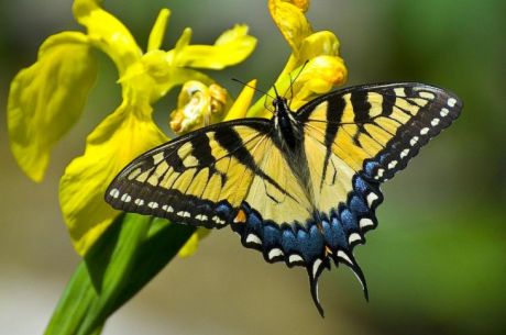 Ormana Köyü - Düğmeli Evler - Konya Turu | 1 Gece Konaklamalı