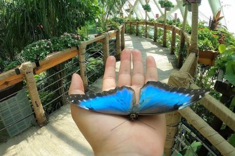 Ormana Köyü - Düğmeli Evler - Konya Turu | 1 Gece Konaklamalı